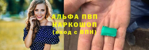 прущие грибы Абаза