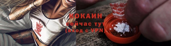 прущие грибы Абаза