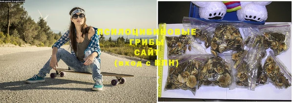 PSILOCYBIN Абдулино