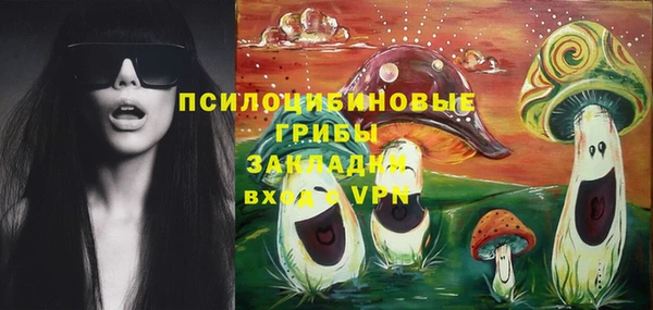 PSILOCYBIN Абдулино