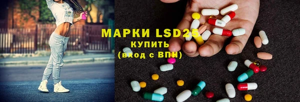 прущие грибы Абаза