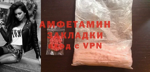 прущие грибы Абаза