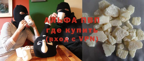 прущие грибы Абаза