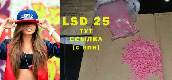 прущие грибы Абаза