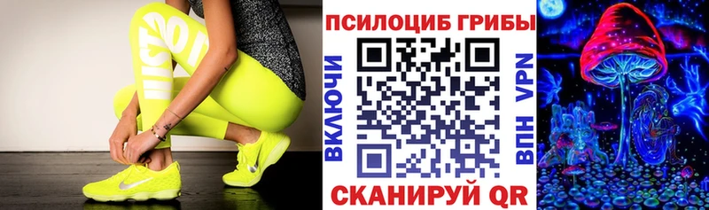 Галлюциногенные грибы Psilocybine cubensis  Инта 